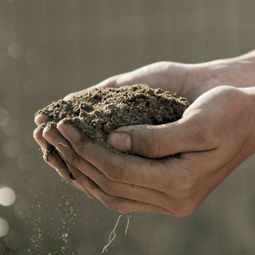 Compostaggio di comunità