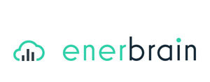 Enerbrain